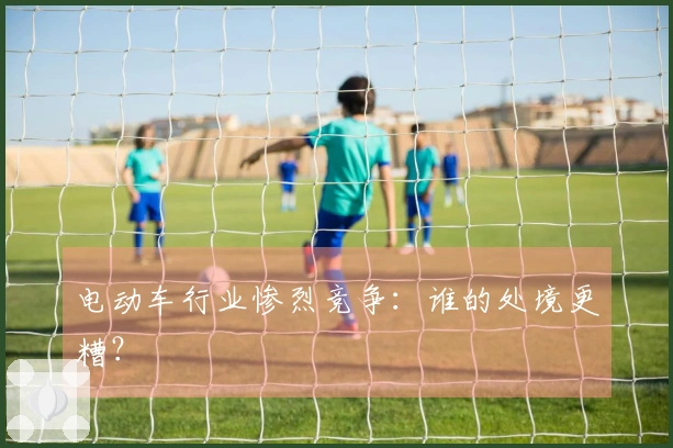 电动车行业惨烈竞争：谁的处境更糟？