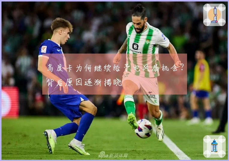 乌度卡为何继续给予电风扇机会？背后原因逐渐揭晓