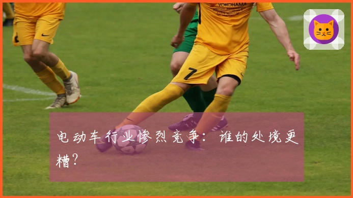 电动车行业惨烈竞争：谁的处境更糟？