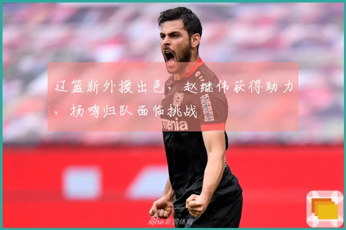 辽篮新外援出色，赵继伟获得助力，杨鸣归队面临挑战